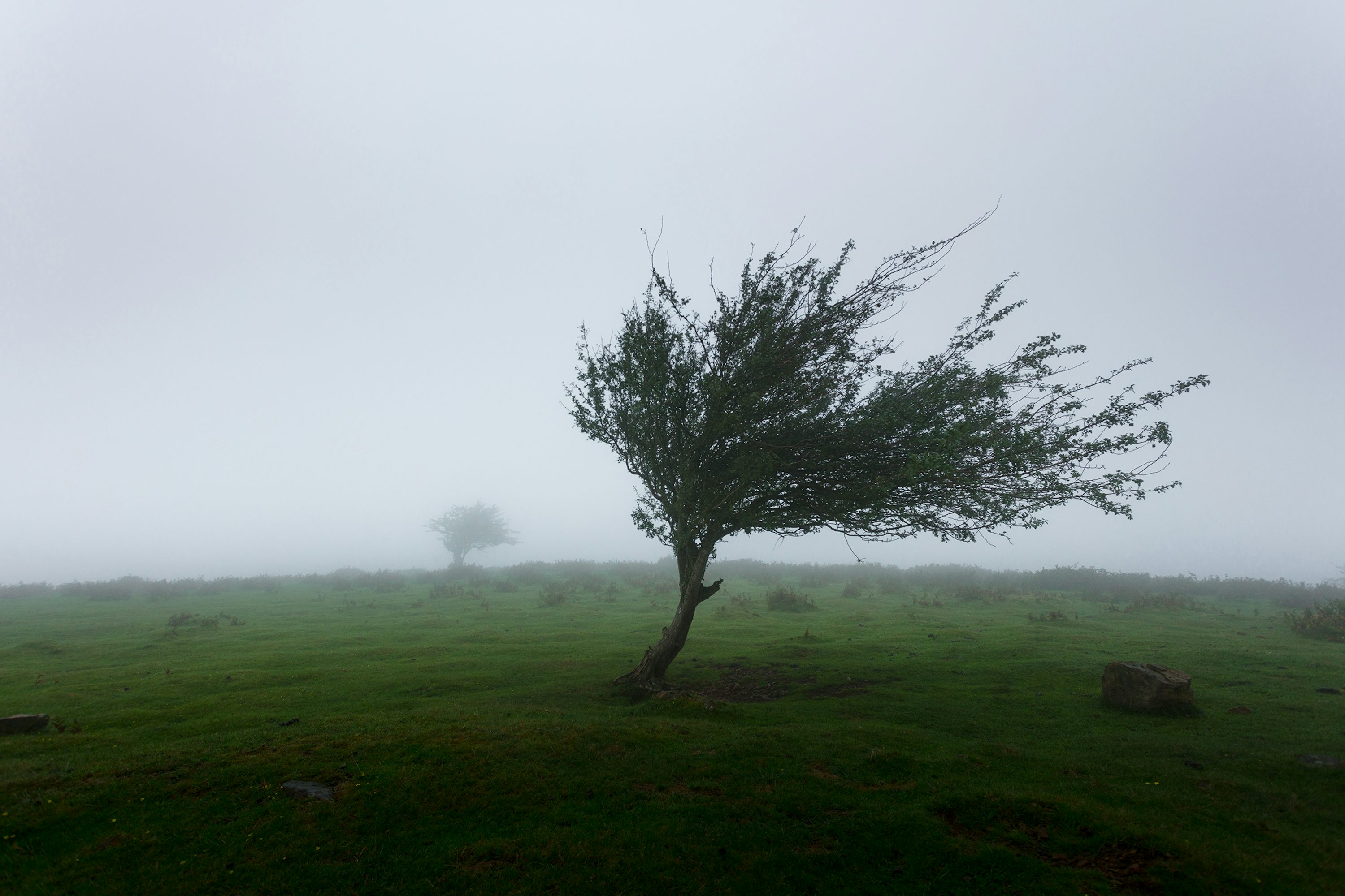 a prueba de viento